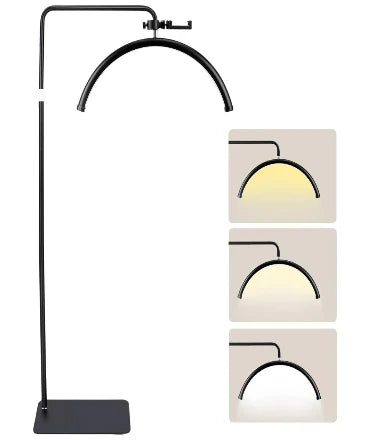 LED Half Moon Floor Lamp