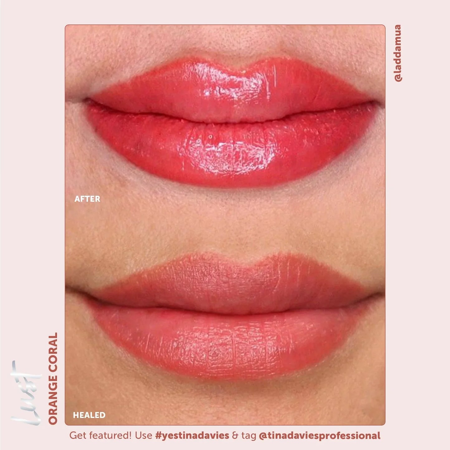 Tina Davies - Lust Orange Coral